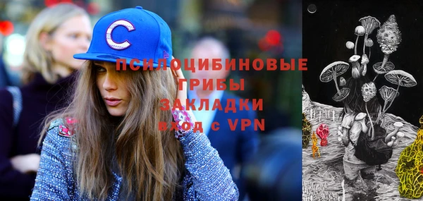 прущая мука Верхний Тагил